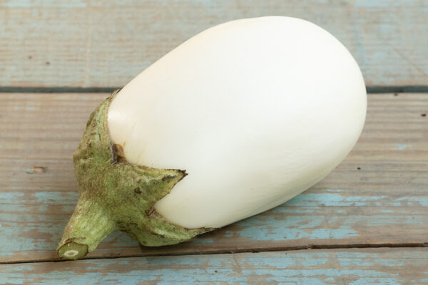 albergínia blanca
