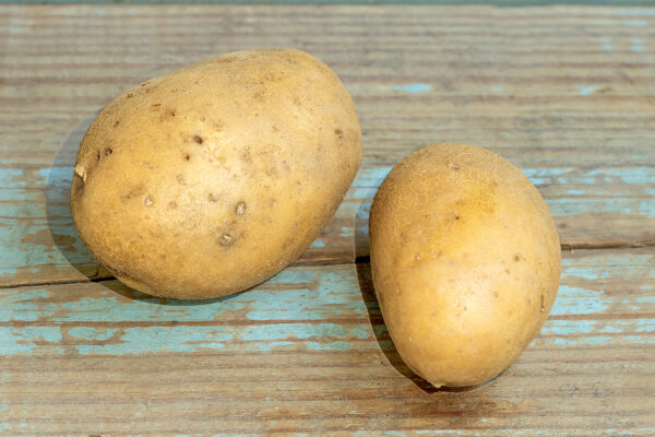 Patata blanca