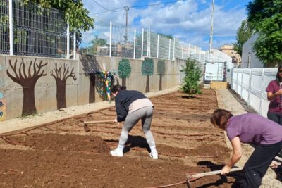 l’hort ecològic a l’escola