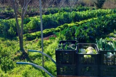 Us convidem a visitar LA BARRAQUETA agroecològica